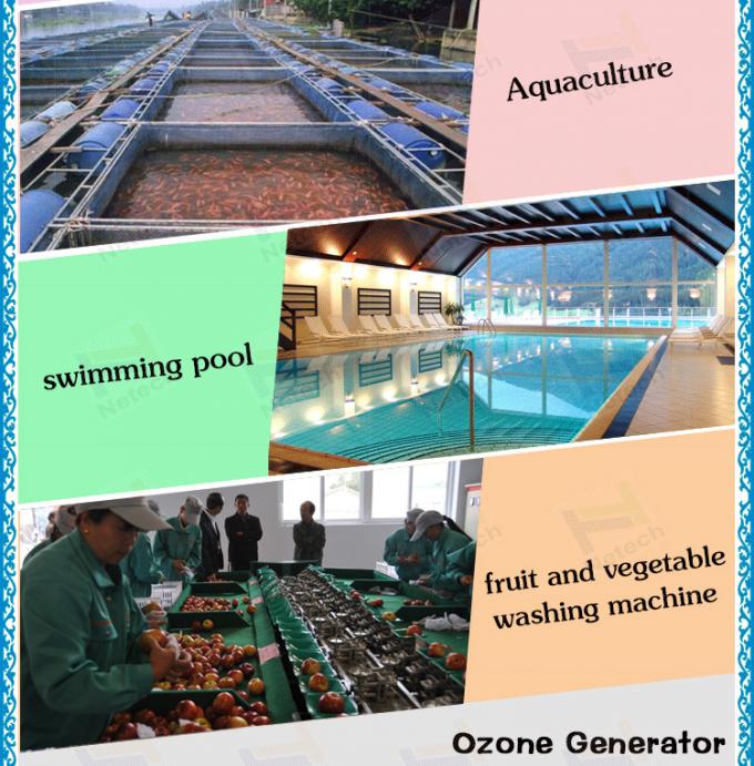 40g - 100g 水産養殖のための大型オゾン発電機オゾン給水系統