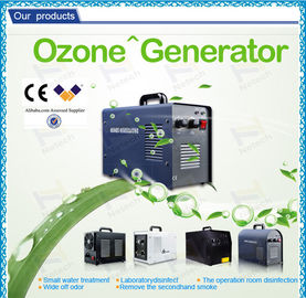 Fruit cleaning High purity household ozone generator 6g with CE ceramic tube