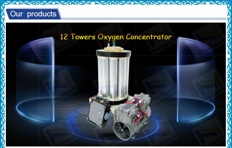 10LPM Oxygen Concentrator Unit With Air Compressor Chiller 220V 110V