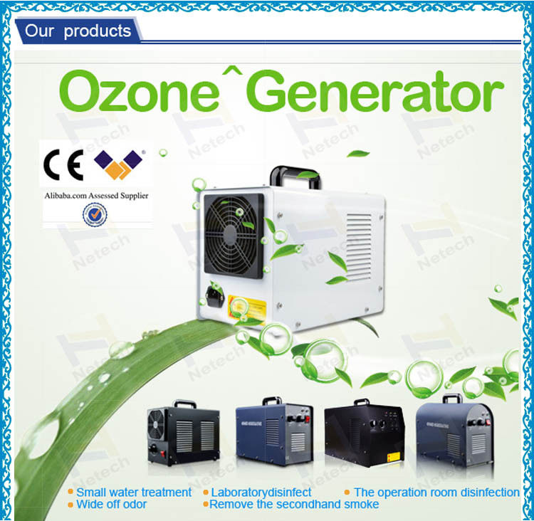 3g 5g 110V Ozone Water Purifier / Ozone Generator Water Treatment​